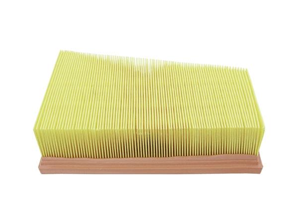 Air Filter (180034910)