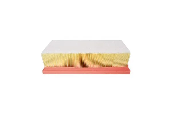 Air Filter (246764210)