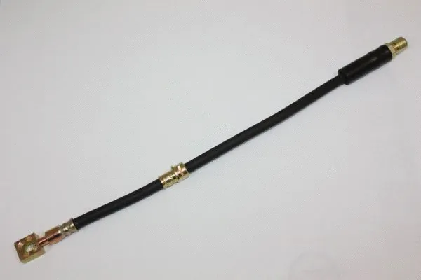 Brake Hose (120079110)
