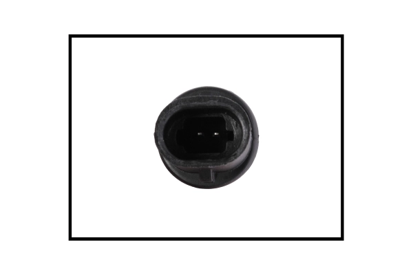 Sensor, intake air temperature