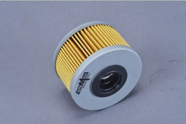 Fuel Filter (180008310)