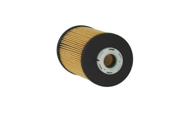 Fuel Filter (180012610)