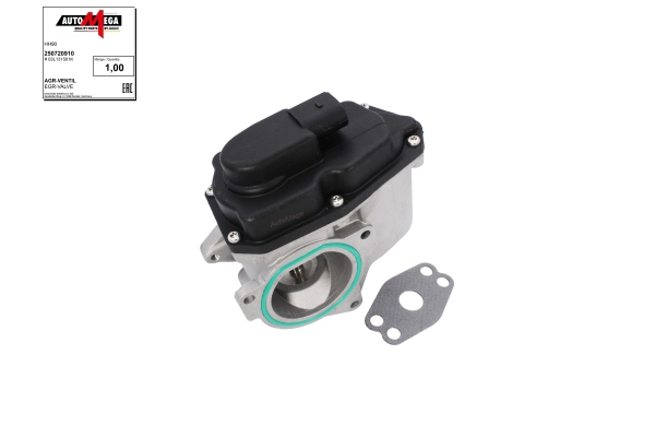 EGR Valve (250720910)