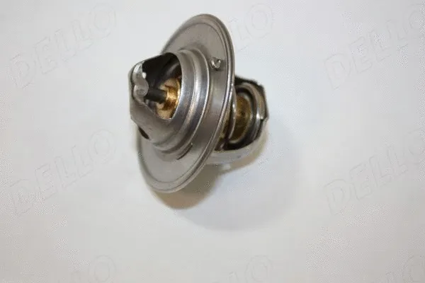 Thermostat, coolant (160030410)