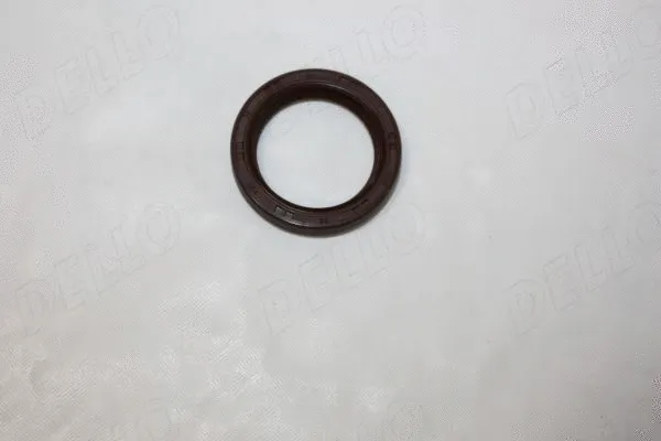 Shaft Seal, crankshaft (190049310)