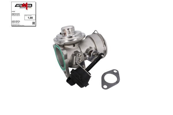 EGR Valve (250721410)