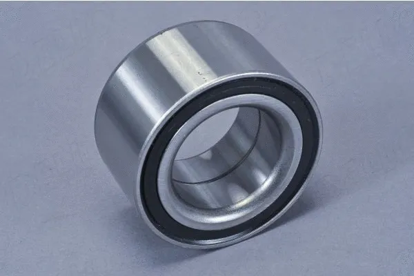 Wheel Bearing (110060010)