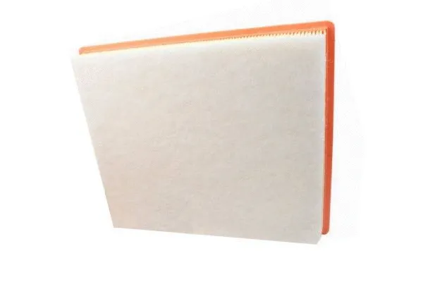 Air Filter (180022010)