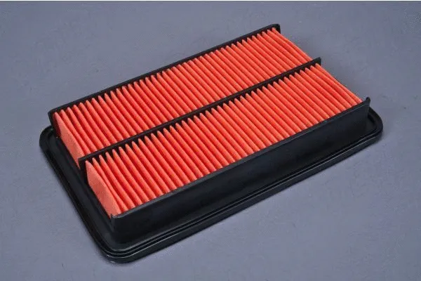 Air Filter (180069910)