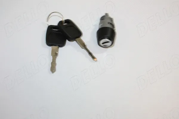 Lock Cylinder, ignition lock (100035310)