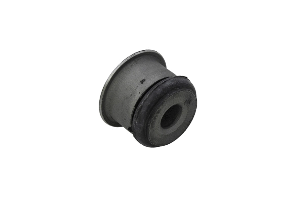 Bushing, axle beam (110163510)