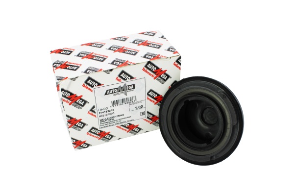 Shaft Seal, crankshaft (274183310)