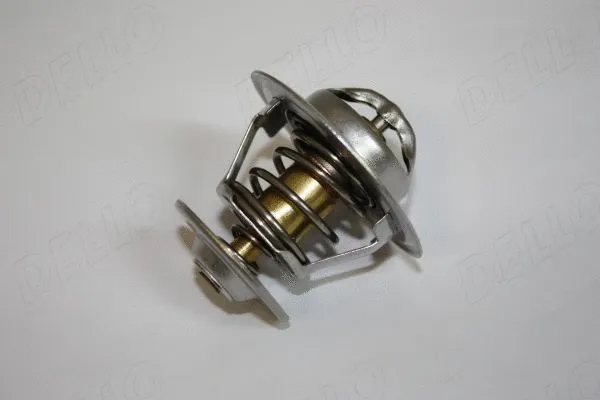 Thermostat, coolant (160032510)