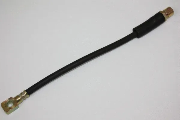 Brake Hose (120078910)