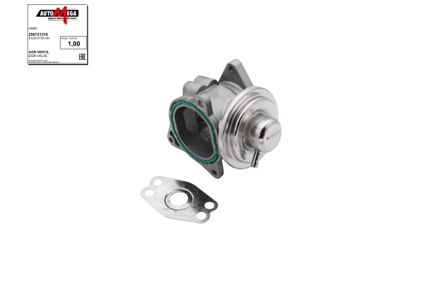 EGR Valve (250721310)