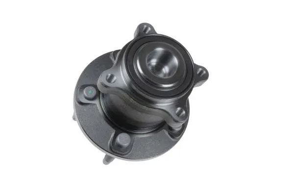 Wheel Bearing Kit (110000510)