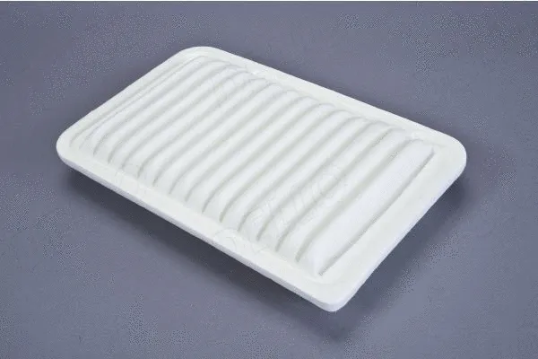 Air Filter (210076710)