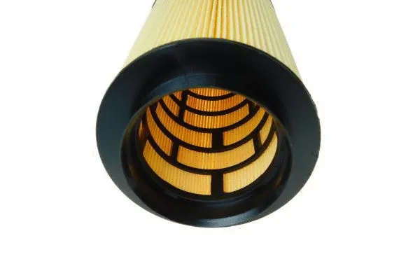 Air Filter (180074510)