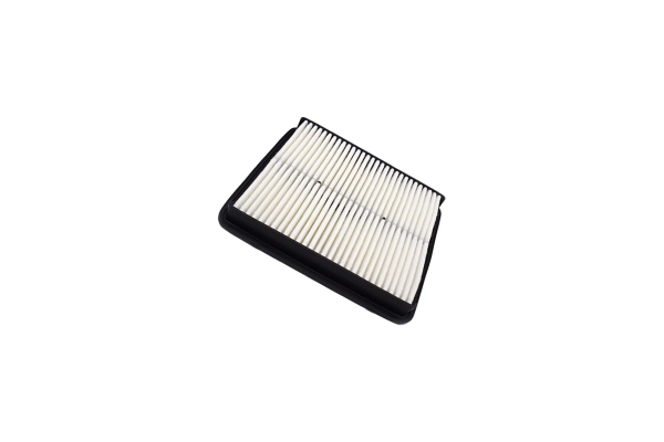 Air Filter (250052710)