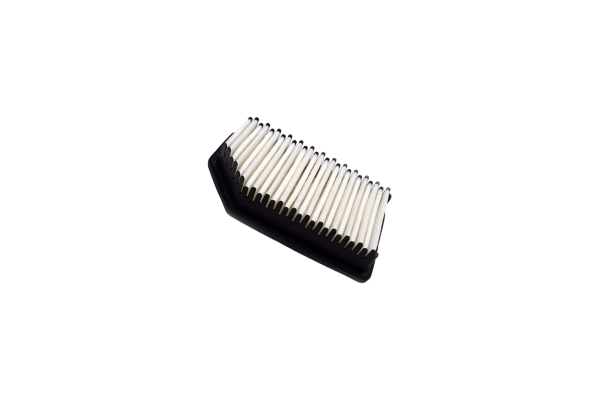 Air Filter (250052110)