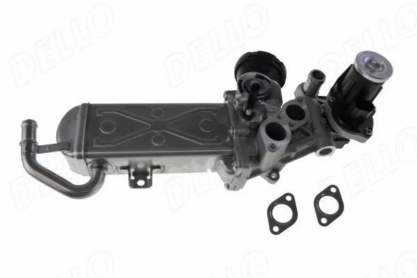 EGR Valve (210008610)