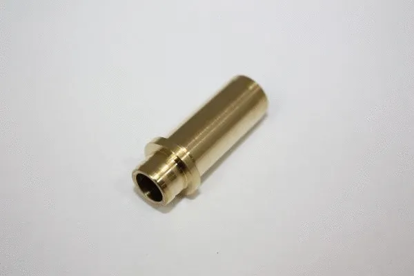 Valve Guide (130036310)