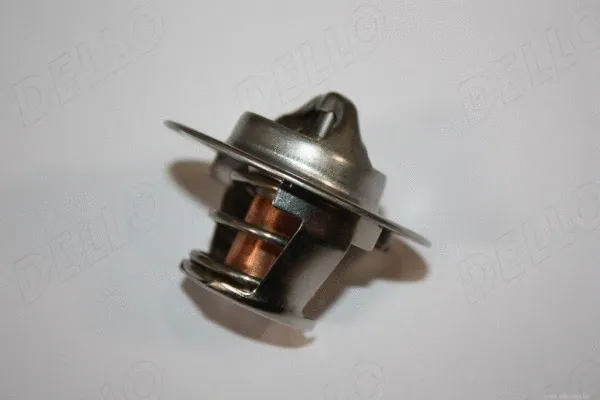 Thermostat, coolant (160099810)