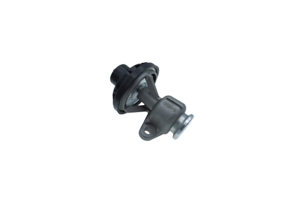 EGR Valve (250721710)