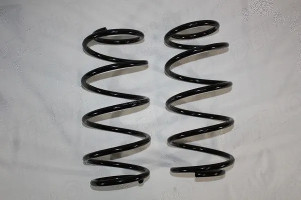 Suspension Spring (110164310)