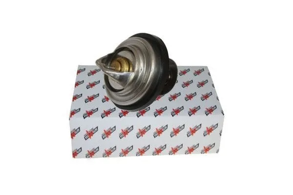 Thermostat, coolant (160014510)