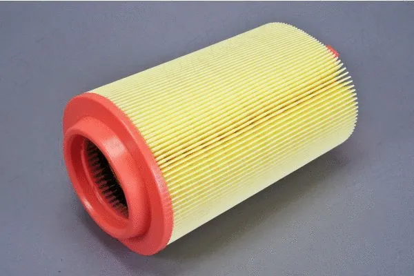 Air Filter (180073310)