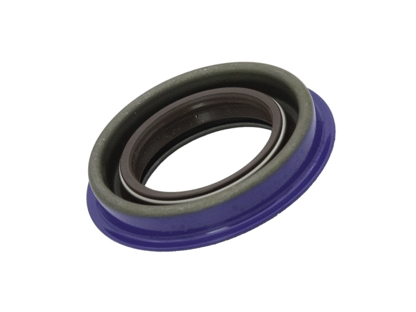 Shaft Seal, differential