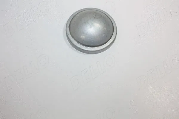 Protection Lid, wheel hub (110010910)