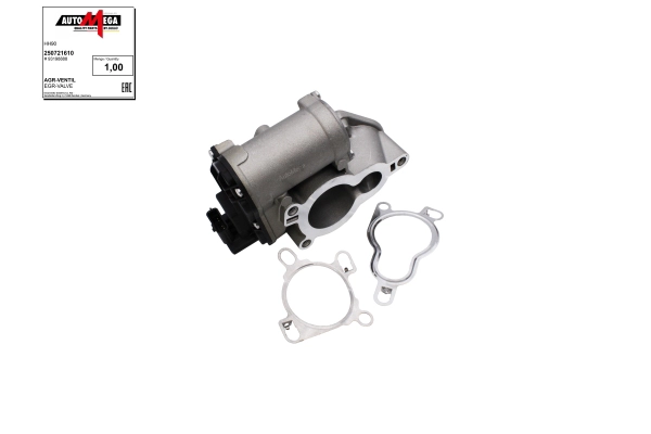 EGR Valve (250721610)
