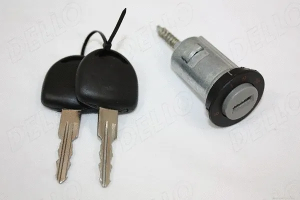 Lock Cylinder, ignition lock (100082810)