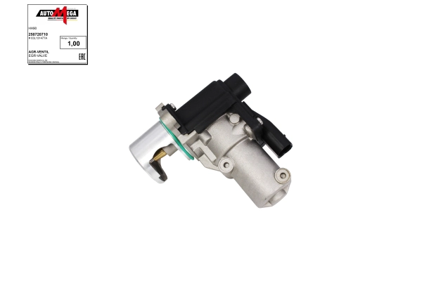 EGR Valve (250720710)