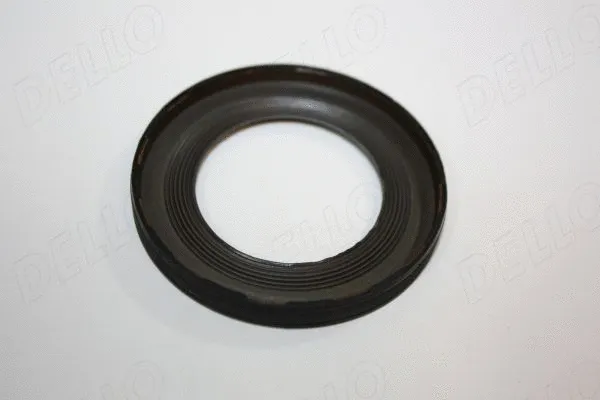 Shaft Seal, crankshaft (190004210)