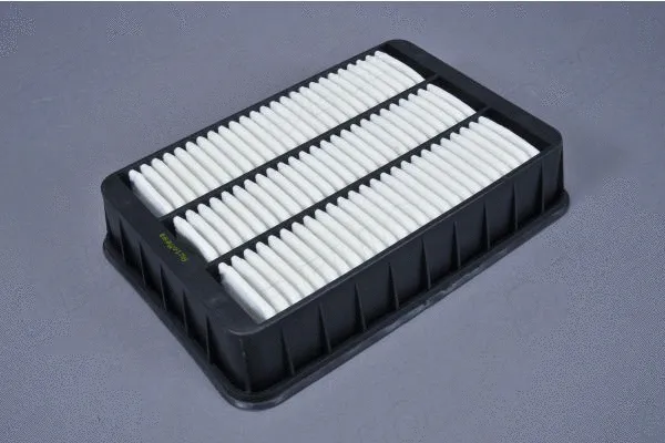 Air Filter (180034710)