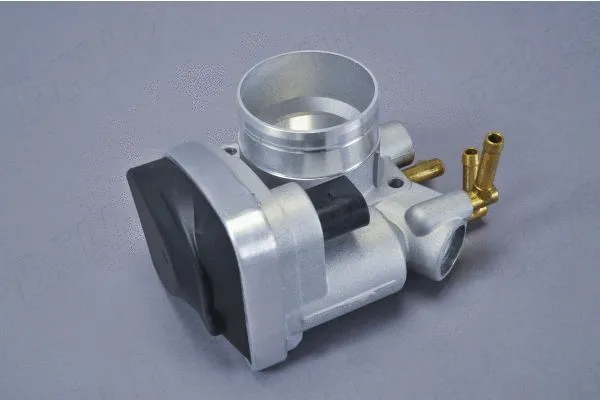 Throttle Body (210785910)