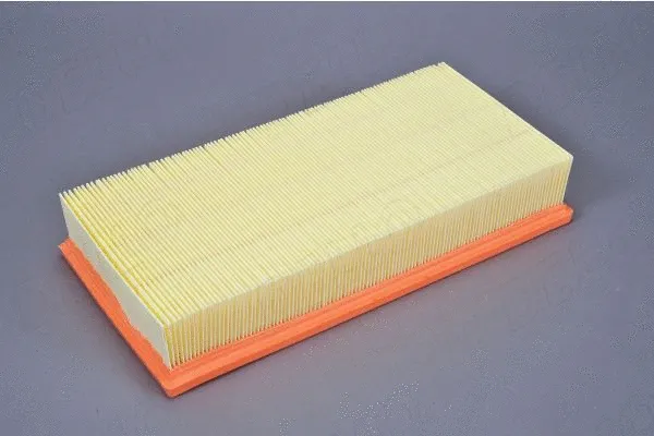 Air Filter (210163210)