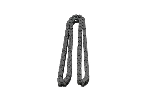 Timing Chain (130007310)