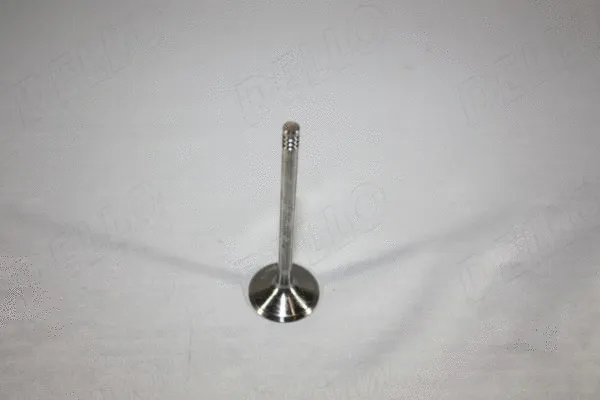 Intake Valve (130106910)