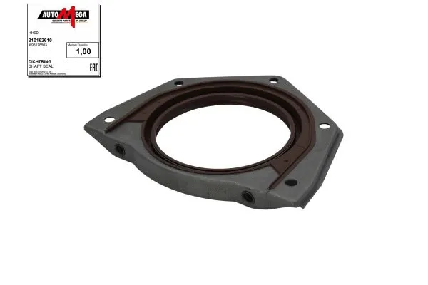 Shaft Seal, crankshaft (210162610)