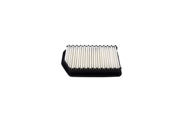 Air Filter (250051710)