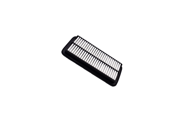 Air Filter (250051310)