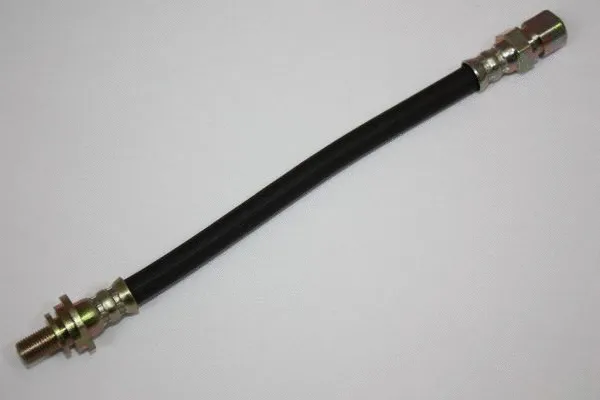 Brake Hose (120079010)