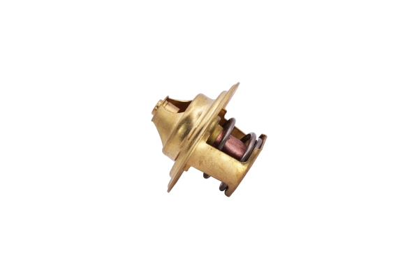 Thermostat, coolant (160047010)