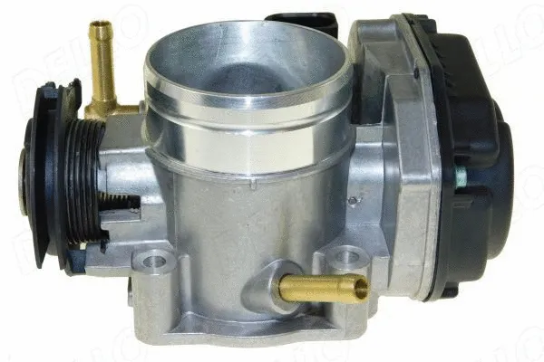 Throttle Body (210787110)