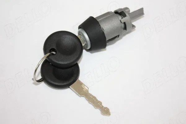Lock Cylinder, ignition lock (100010910)