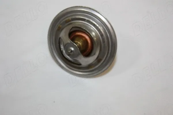 Thermostat, coolant (160028110)